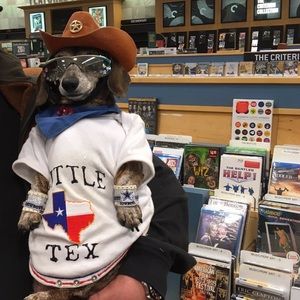 Meet your Posher, Jesus